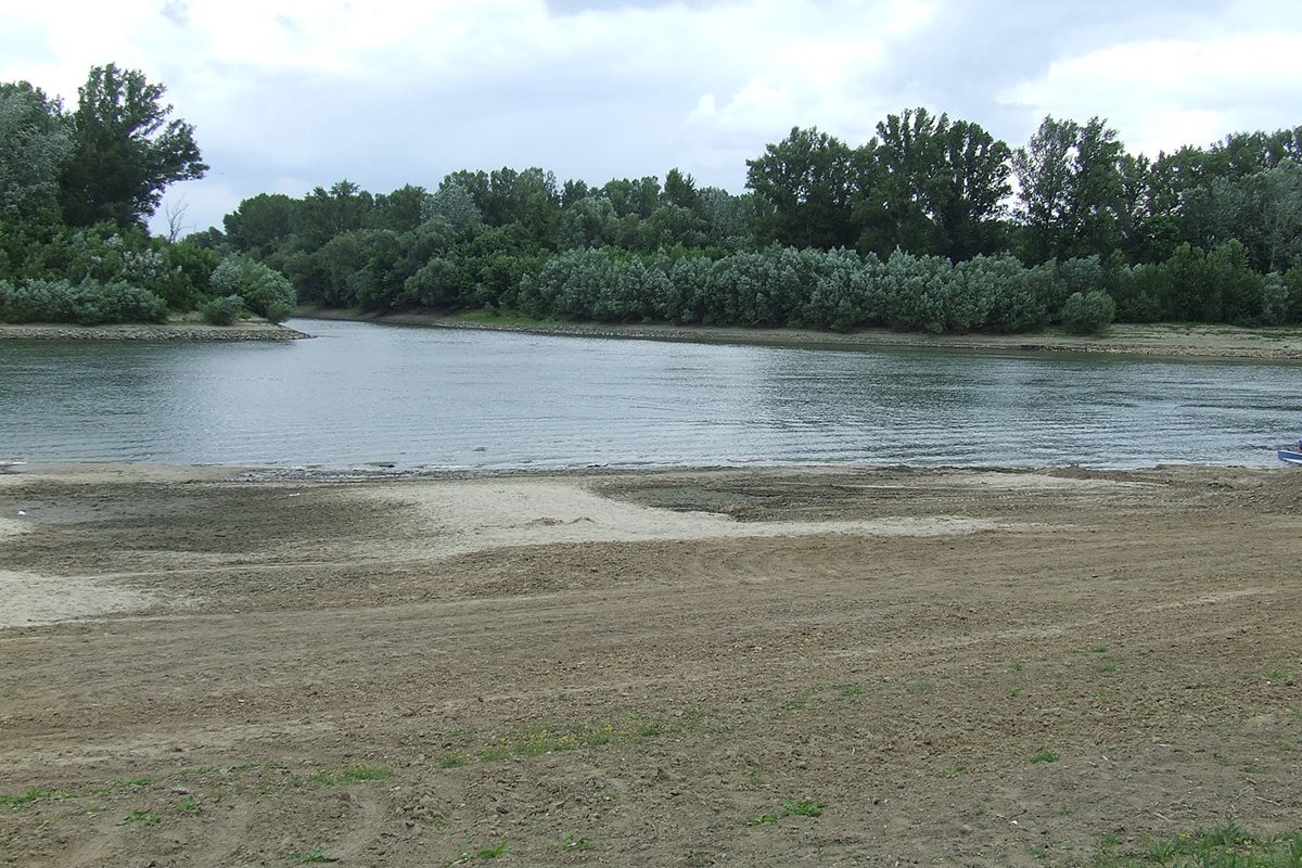 Ma van a Tisza Élővilágának Emléknapja