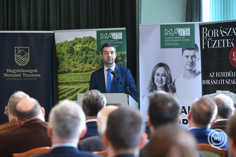 A mostani fejlesztések évtizedekre meghatározhatják a borászat jövőjét