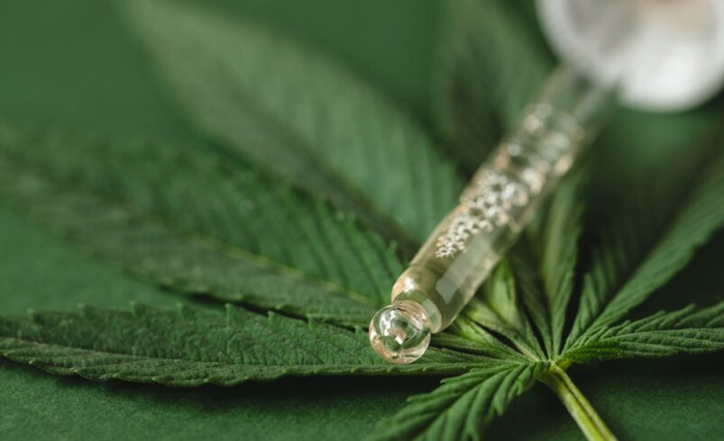 Closeup View on Pipette with Cannabis Extract.