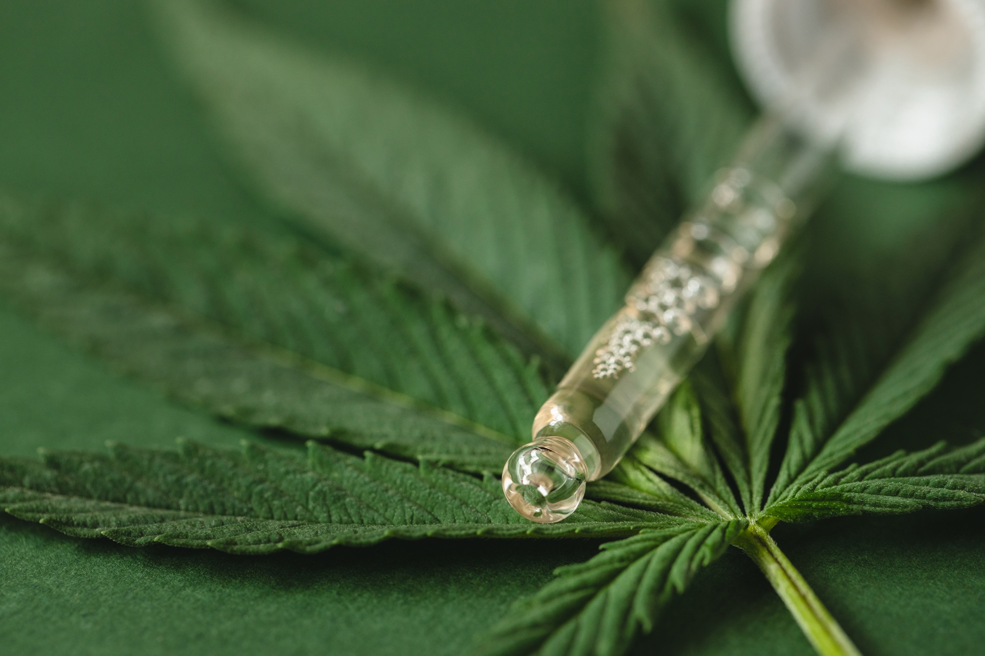 Öt kilogramm marihuánát találtak a pénzügyőrök Röszkén