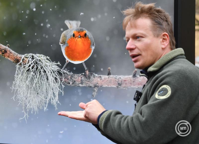 Potyó Imre kapta a magyar természetfotó nagydíjat