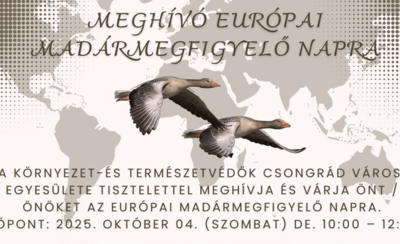Európai Madármegfigyelő Nap